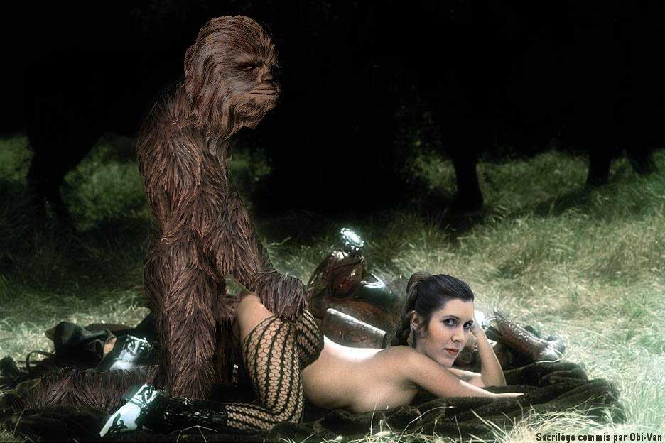 Chewbacca and Princess Leia.